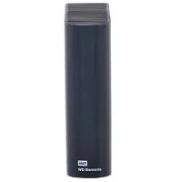 Эскиз Внешний жёсткий диск WD (WDBWLG0100HBK-EESN) 