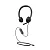 Гарнитура Microsoft Modern USB-C Headset  Black For Business for Business (I6S-00002) (I6S-00002)