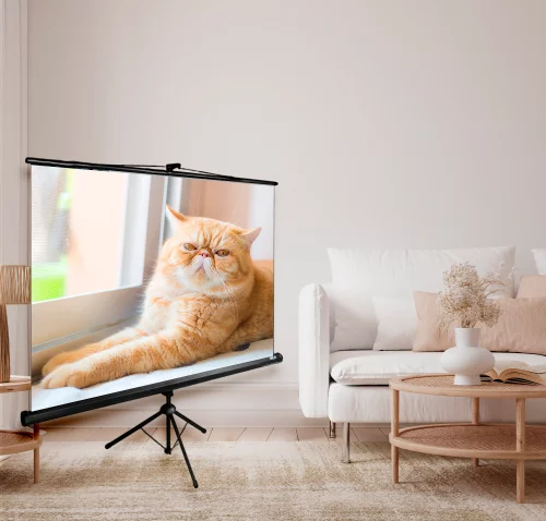 Экран Cactus 71