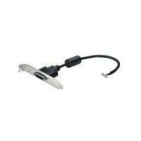 Кабель Advantech 1700008822-11 DVI to DVI port cable, DVI 19P(F)/ 2*10P-1.25 30CM W/ BKT ('1700008822-11)