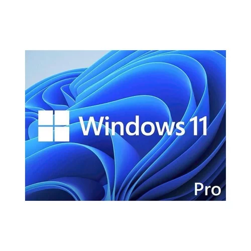 Windows 11 Pro 64-bit English 1pk DSP OEI DVD (FQC-10529)