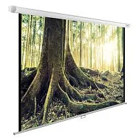 Эскиз Экран Cactus WallExpert cs-pswe-220x220-wt