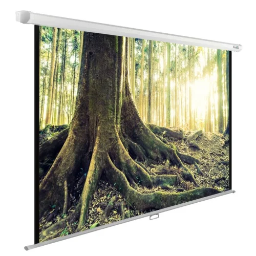 Экран Cactus WallExpert CS-PSWE-220x220-WT 220x220 см 1:1 настенно-потолочный рулонный