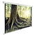 Экран Cactus WallExpert (CS-PSWE-220X220-WT)