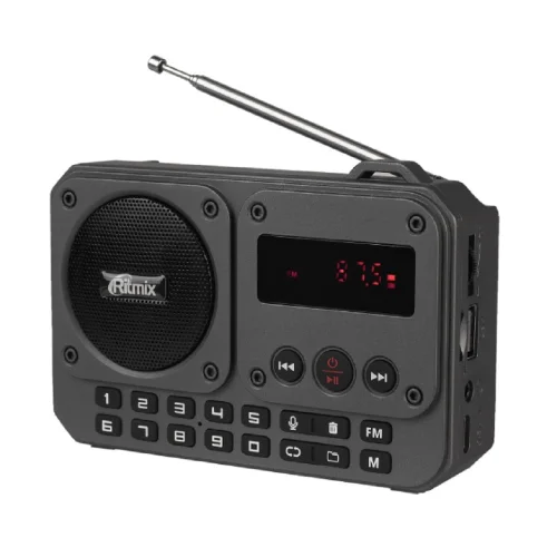 RITMIX RPR-010