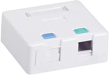 ITK Корпус настенной розетки для 2 мод. Keystone Jack (CS2-022)