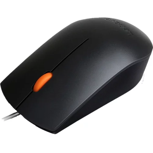 Мышь Lenovo 300 USB [GX30M39704]