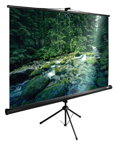 Экран Cactus TriExpert CS-PSTE-220x165-BK 165x220 см 4:3 напольный рулонный