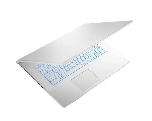 Ноутбук MSI Sword 17 A11UD-810XRU 17.3