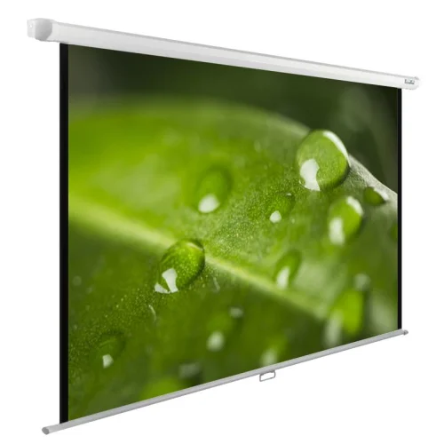 Экран Cactus 99 150x200см WallExpert CS-PSWE-200x150-WT 4:3 настенно-потолочный рулонный