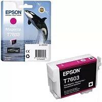 Картинка c13t76034010