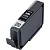 Картридж CANON PFI-300 MBK матовый чёрный (4192C001) (4192C001)
