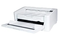 Эскиз Сканер Avision AD6090N
