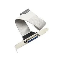 Кабель Advantech 1700020294-01 F Cable D-SUB 25P/ IDE#3 2*13P-2.54 42CM W/ BKT ('1700020294-01)