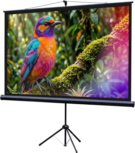 Экран Lumien 100 130x227см Eco Picture LEV-100115 16:9 напольный натяжной черный