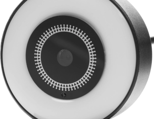 Камера Web Ritmix RVC-250 черный 5Mpix (2592x1944) USB2.0 с микрофоном (80001305) фото 8