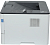Принтер Pantum BP5100DW (BP5100DW) (BP5100DW)