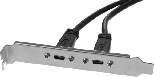 Адаптер USB 2xUSB3.1 Type-C Bulk (ASIA BRACKET USB C 2 PORT) фото 3
