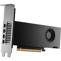 Видеокарта NVIDIA RTX 2000 ADA Graphics Cards, 16GB GDDR6 (ATX inst, LP incl), bulk (900-5G192-2240-000||ATX+LP)