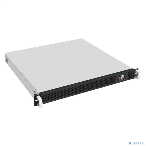 Exegate EX297133RUS Серверный корпус ExeGate Pro 1U430-02