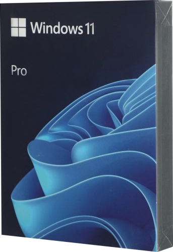 Windows Pro FPP 11 Eng USB (HAV-00162)