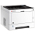 Принтер Kyocera P2040dw (1102RY3NL0) (1102RY3NL0)