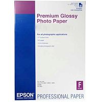 Картинка Бумага Epson Premium Glossy PhotoPap (C13S042091) 