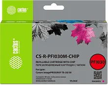 Картинка cs-r-pfi030m-chip