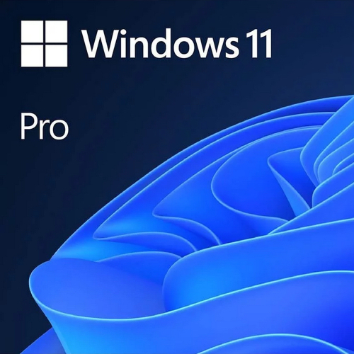 Microsoft Windows 11 [FQC-10547] Лицензия OEM Windows 11 Pro 64-bit Russian 1pk DSP OEI DVD (FQC-10547)