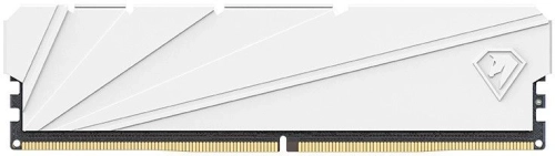 Netac Shadow S 8GB DDR4-2666 (PC4-21300) C19 White 19-19-19-43 1.2V Memory module (DIMM) (NTSSD4P26SP-08W)