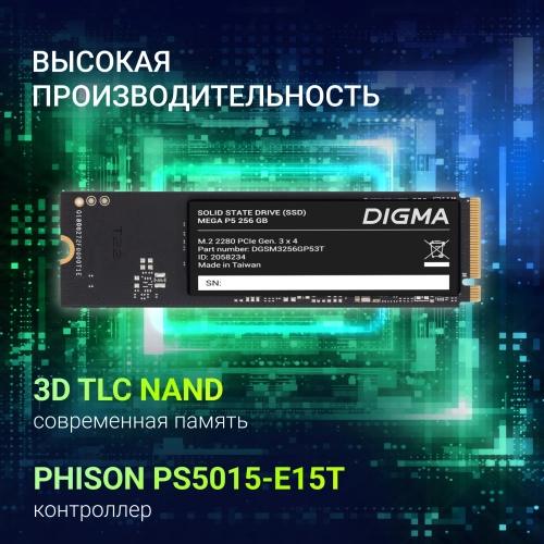 Накопитель SSD Digma PCIe 3.0 x4 256GB DGSM3256GP53T Mega P5 M.2 2280 фото 8