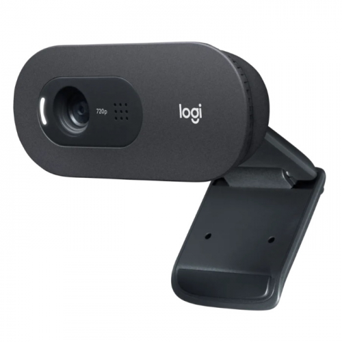Веб-камера Logitech C505 HD, 1280 x 720, USB, 2m (960-001364) фото 2