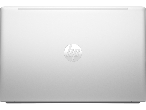 Ноутбук HP ProBook 455 G10 15.6