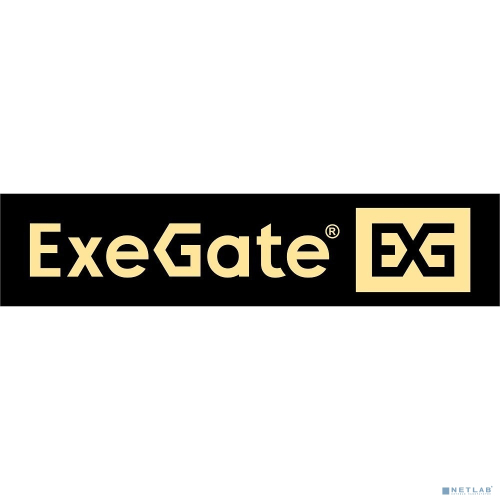 LCD ExeGate 29