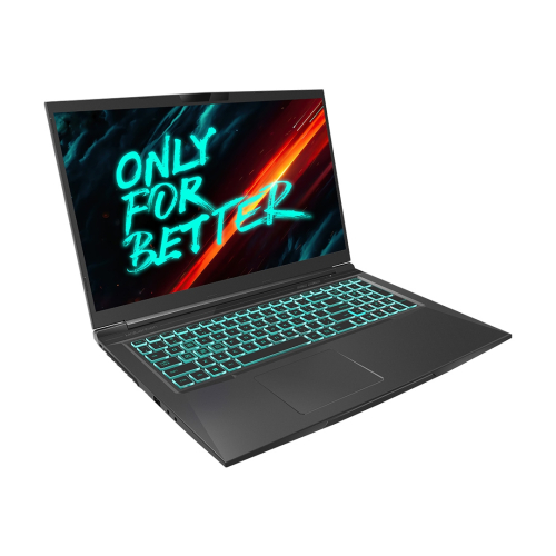 Ноутбук Maibenben X668 Core i7-12700H/ 32GB/ 1Tb SSD/ 17.3″ QHD 165Hz 100%sRGB/ NV RTX 3070 8Gb/ Linux (X668QSJELBRE0) фото 3