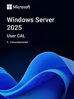 Windows Server CAL 2025 English 1pk DSP OEI 5 Clt User CAL (EP2-25279)