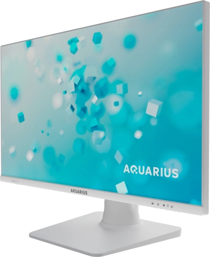 Моноблок Aquarius Mnb Pro T924 23.8 Full HD i3 12100 (3.3) 8Gb SSD256Gb без ОС Eth WiFi BT клавиатура мышь 1920x1080 (RUS) (T9241K3318H125F02NWNNTNN3)