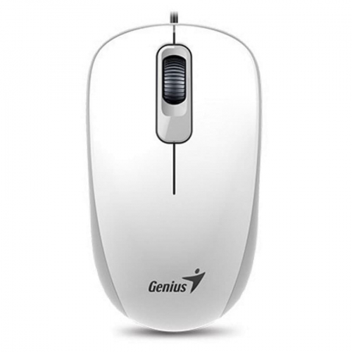 Мышь Genius DX-120 USB белая (31010010401) фото 2