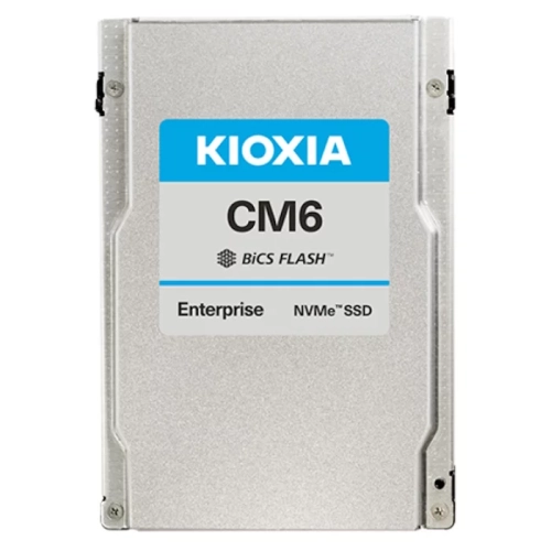 Infortrend Kioxia, U.3 NVMe SSD, PCIe Gen4, 3.84TB, DWPD=1, with bundle key 3YW (for UR2 / URT2) (HNBKSRP43841-00304)