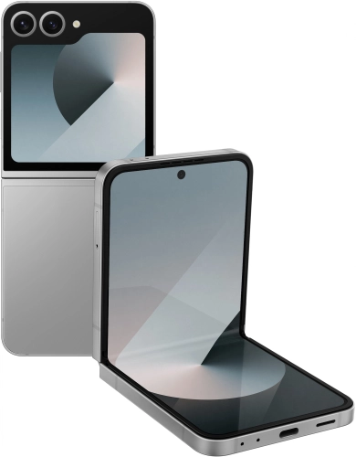 Смартфон Samsung SM-F741B Galaxy Z Flip 6 5G 256Gb 12Gb серый раскладной 3G 4G 1Sim 6.7