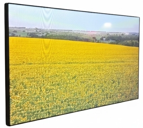 Панель Ikar 55 ПВ 55-117-300 (0.88 мм) черный IPS LED 8ms 16:9 DVI HDMI матовая 1200:1 700cd 178гр/178гр 3840x2160 VGA DP UHD USB 26кг (RUS)