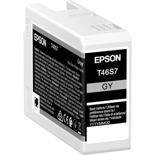 Картридж EPSON T46S серый для SC-P700 (C13T46S700)