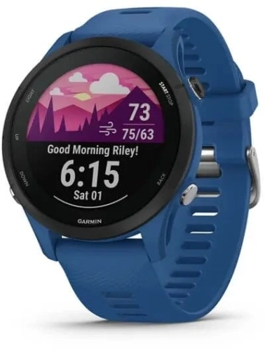 Смарт-часы Garmin Forerunner 255 33мм 1.3