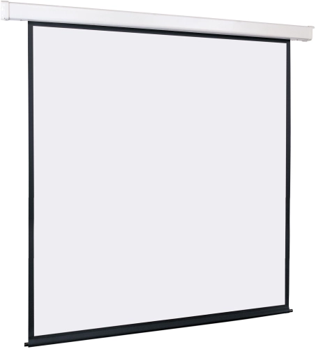 Экран Lumien 119 220x220см Master Control LMC-100125 1:1 настенно-потолочный рулонный (моторизованный привод)