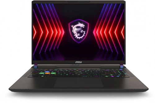 Ноутбук MSI Vector 16 HX A14VHG-831XRU Core i9 14900HX 16Gb SSD1Tb RTX 4080 12Gb 16