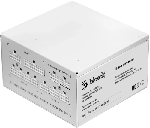 Блок питания Bloody ATX 750W BD-PS750G 80+ gold (20+4pin) APFC 120mm fan 6xSATA Cab Manag RTL (BD-PS750G-MW) фото 13