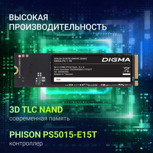 Накопитель SSD Digma PCIe 3.0 x4 1TB DGSM3001TP53T Mega P5 M.2 2280 фото 8
