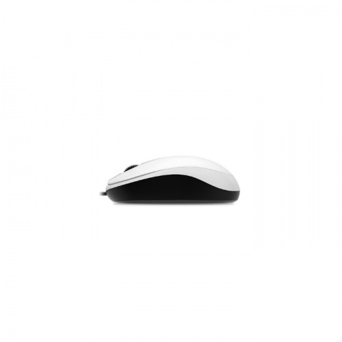Мышь Genius DX-120, USB, Wired, White (31010105102) фото 3