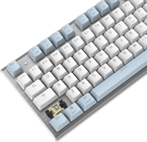 Клавиатура A4Tech Fstyler FS100 Neon механическая синий/ белый USB for gamer LED (FS100) фото 19