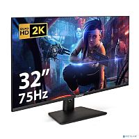 Эскиз Монитор LCD ExeGate 31.5" ES3207CA SmartView ex297504rus